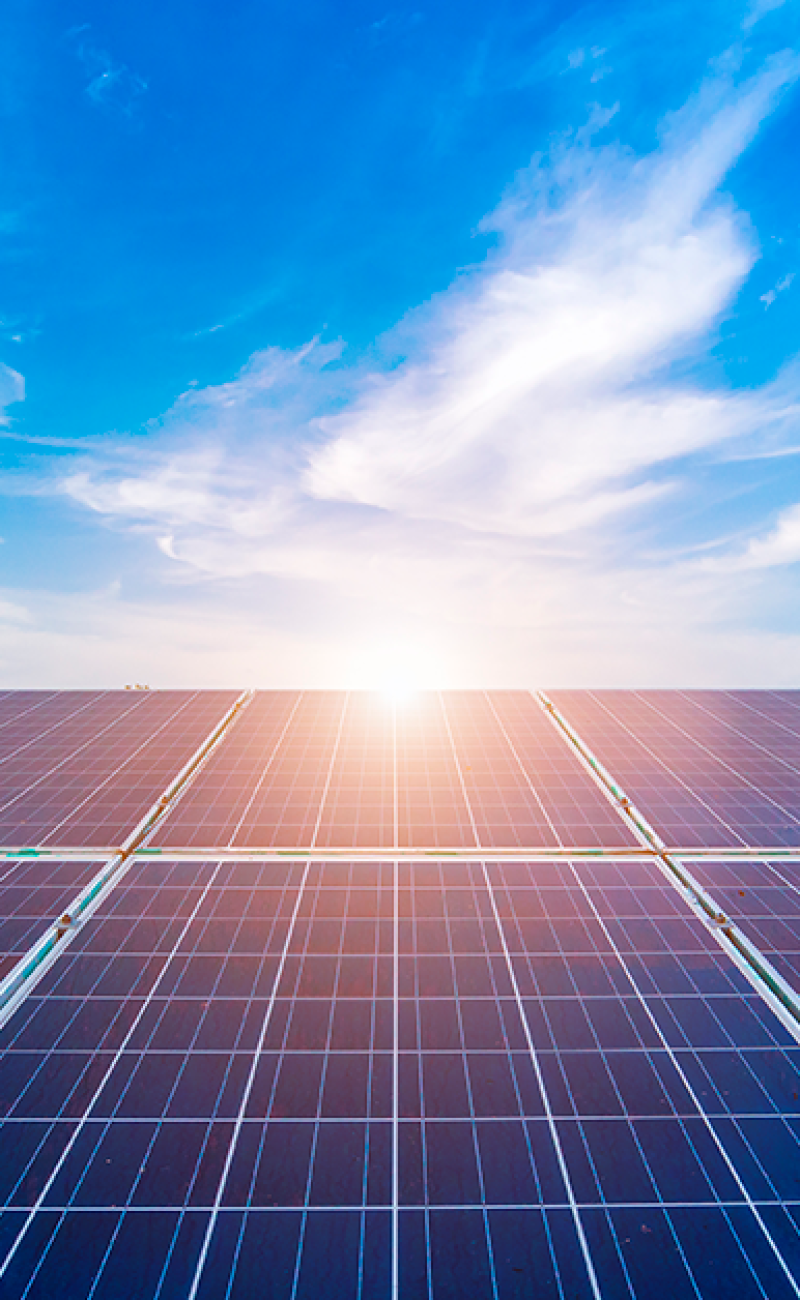 1000096550 (1200×628)